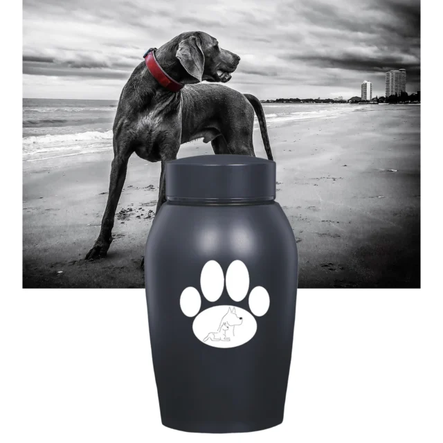 500ML Pet Cremation Memorial Urn Retain Memories Burial Keepsake for Funeral Box Pet Cremation Urn Kittens Puppy Keepsake - Image 5