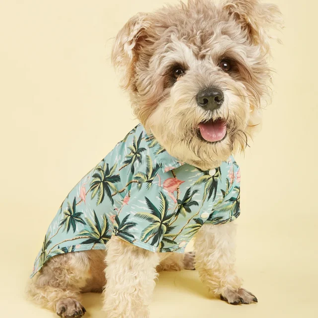 Summer Pet Dog Clothes Hawaiian Style Leaf Printed Beach Shirts for Puppy Small Large Cat Dog Chihuahua Costume Pet Clothing - Image 3