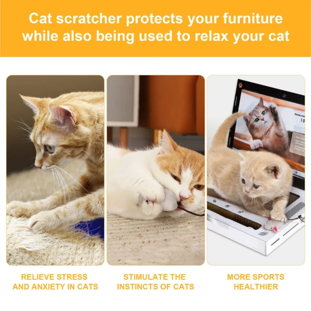 Cat Scratcher Laptop with Fluffy 'Mouse' Interactive Toys, Paw Over Social Media Kitten Toys & Cat Scratch Pads - Image 6