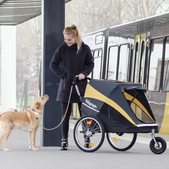 Pet Cart Large Dog Folding Cart Cat Cart Golden Hair Husky Special Touring Vehicle