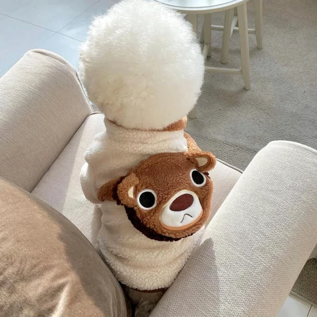 Warm Dog Clothes Puppy Winter Clothes Pet Bear Backpack Cotton Coat Teddy Cold Jacket Cartoon Pullover Pet Two-legged Clothes - Image 2