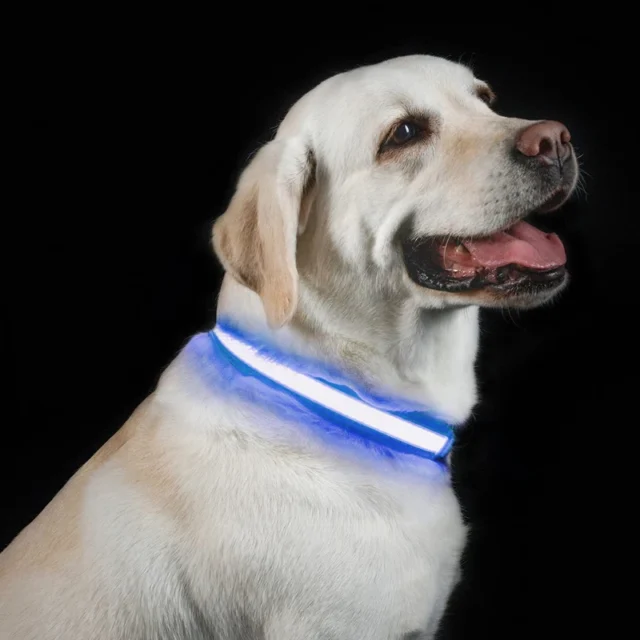 Benepaw LED Dog Collar USB Rechargeable Comfortable Reflective Bright Light Up Glow Collars For Small Medium Large Dogs - Image 2