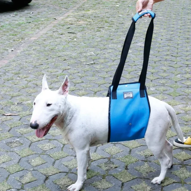 Portable Dog Sling For Back Legs Hip Support Harness to Help Lift Dogs Rear For Canine Aid and Old Dog Ligament Rehabilitation - Image 2