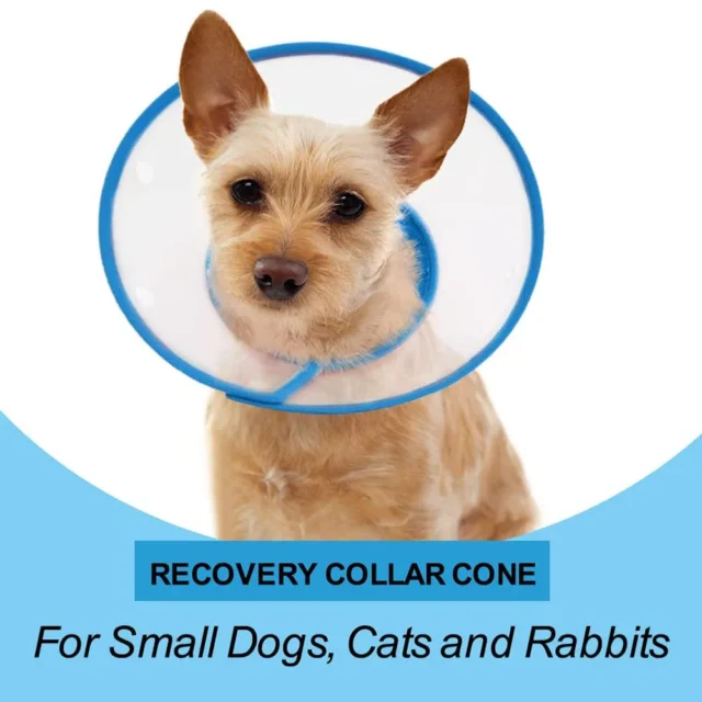 Pet Recovery Dog Cones Cat Cones After Surgery Adjustable Breathable Dog Cone Collar Soft Plastic Puppy Elizabethan E-Collar - Image 4