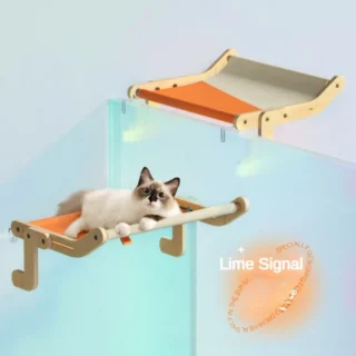 Lime Signal