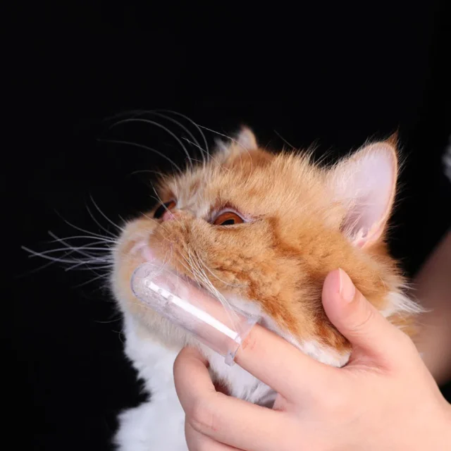 Dog Toothbrush Pet Fingertip Toothbrush for Cat Super Soft Oral Care Toothbrushes Finger Brush for All Pets Tooth Cleaning Brush - Image 4