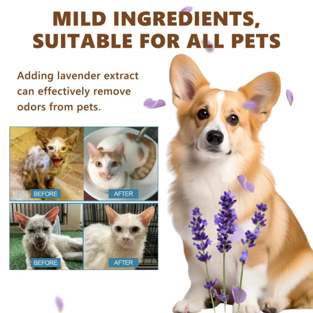 Pet Rinse Free Essence Waterless Bathing Skin Itchiness Relief Hair Smoothing Refreshing Sterilization Cat Dry Cleaning Shampoo - Image 3