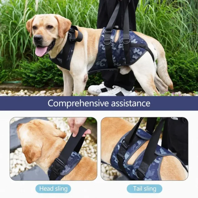 Adjustable Dog Lifting Harness, Front and Rear Legs Support, Pet Accessories, Canine Aid and Ligament Rehabilitation, Full Body - Image 4