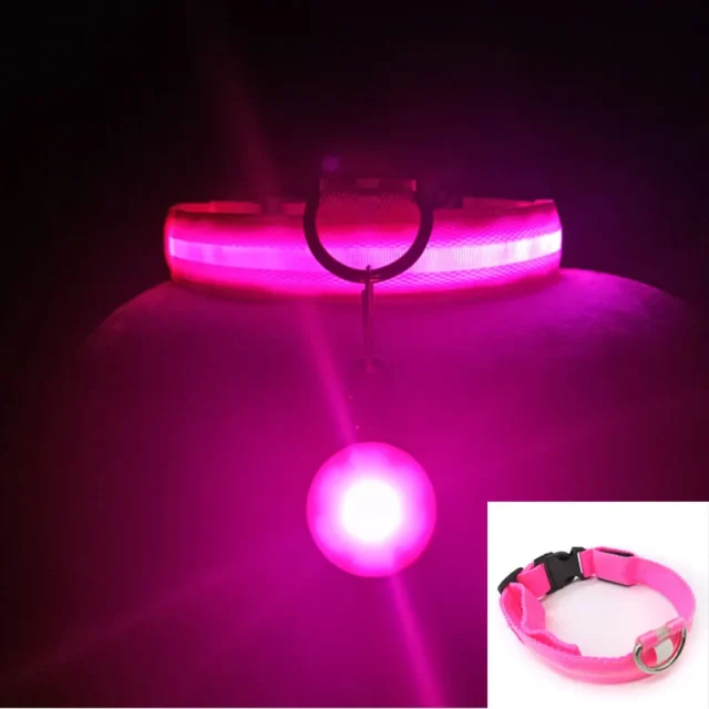 USB Charging/Battery replacement Led Dog Collar Anti-Lost Collar For Dogs Puppies Dog Collars Leads LED Supplies Pet Products - Image 4