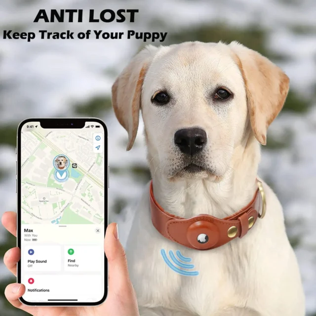 New Removable Locating Pet Collar AirTag Collar Anti-Lost Dog Tracker Protective Case Dog Collar Outdoors Walking Pet Supplies - Image 4