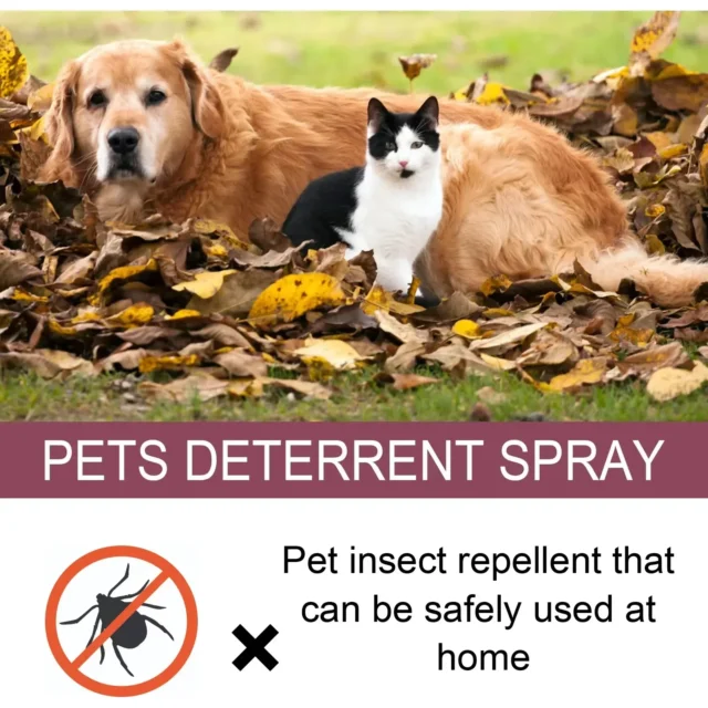 Pet insect repellent spray Drive away fleas lice ticks Sterilization Relieve skin itching Suitable for deworming cats and dogs - Image 7