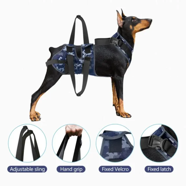 Adjustable Dog Lifting Harness, Front and Rear Legs Support, Pet Accessories, Canine Aid and Ligament Rehabilitation, Full Body - Image 2